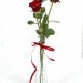 Thailand Valentine Day 2 Days Left Thailand Valentine Day 2 Days Left