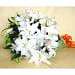 Flowers Thailand Flowers Thailand